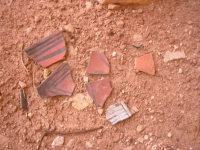 Nice pottery shards